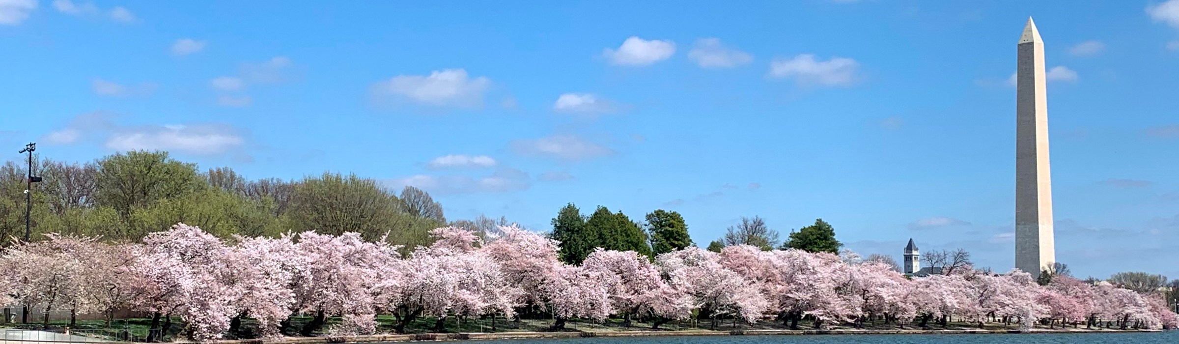 Park Photo