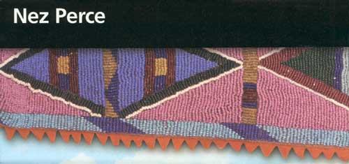 brochure cover
