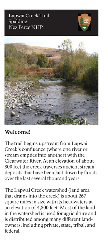 brochure cover