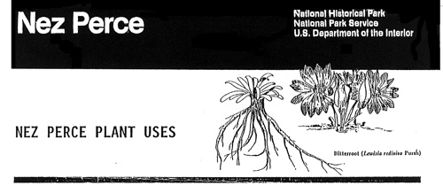 brochure cover