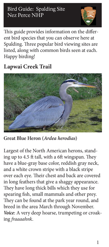 brochure cover
