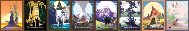 mosaic of NNL locations, D. Caldwell design