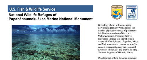 brochure cover