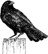 Crow
