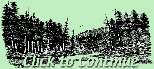 Riparian scene