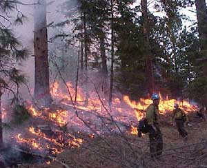 BLM fire crew