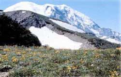 Mount Rainier NP