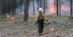 prescribed fire