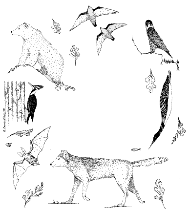 species