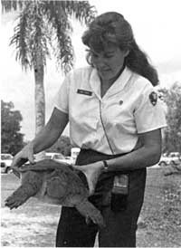Anne L. Bowes