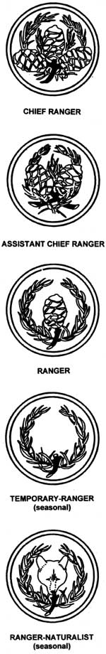 sleeve patches