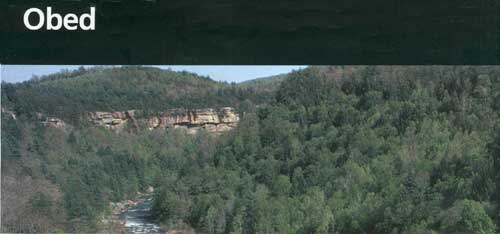 brochure cover