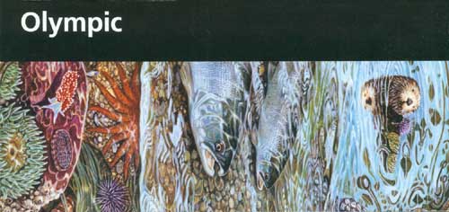 brochure cover