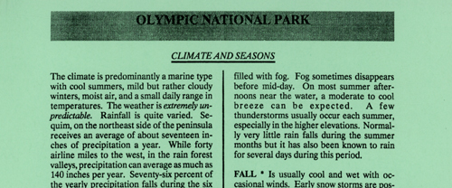 brochure cover