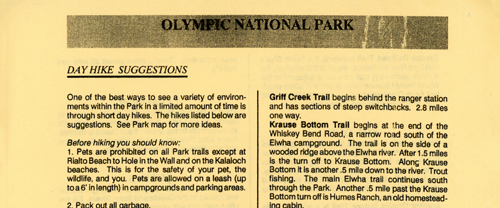brochure cover