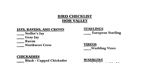 brochure cover