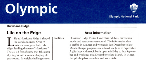 brochure cover