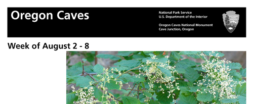 brochure cover