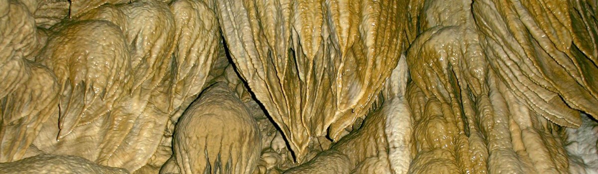Park Photo