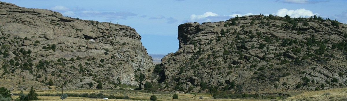 Park Photo