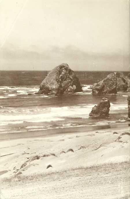 rear cover