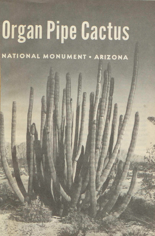 brochure cover