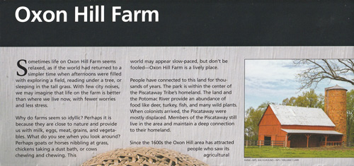 brochure cover