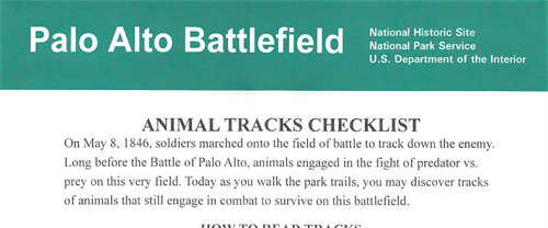 brochure cover