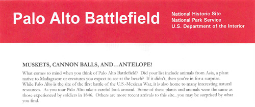 brochure cover
