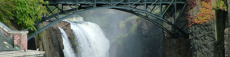 Park Photo