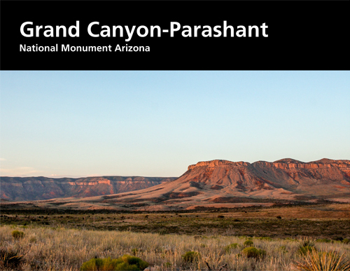 brochure cover