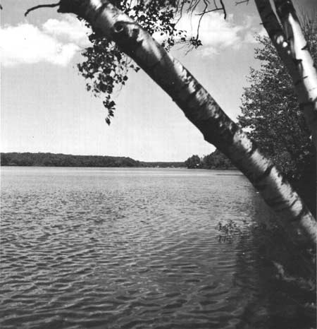 South Pond