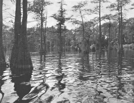 Trussem Pond