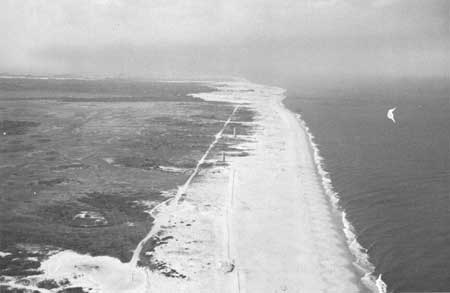 Cape Henlopen