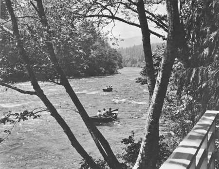 MacKenzie River, Oregon