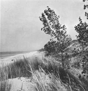 Indiana Dunes