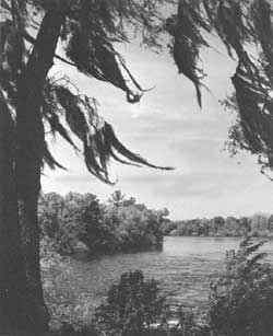 Suwannee River