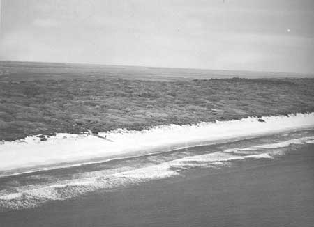 Cumberland Island
