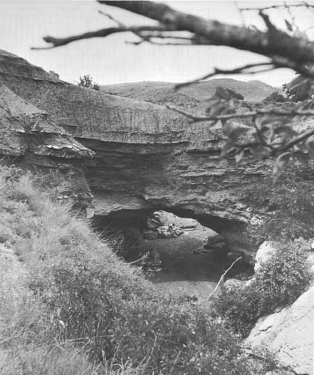 Natural Bridges