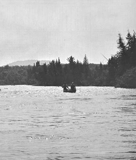 Allagash River