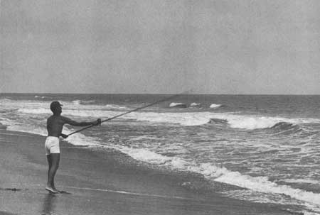 Assateague Island