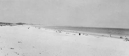 Duxbury Beach