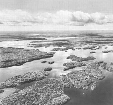 Rainy Lake