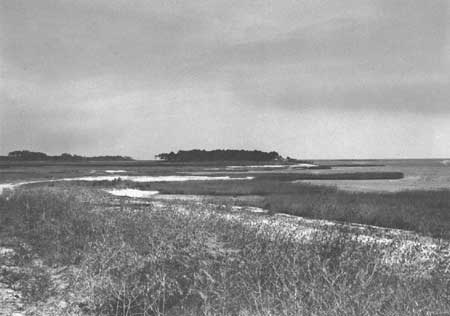 Bayou Casotte