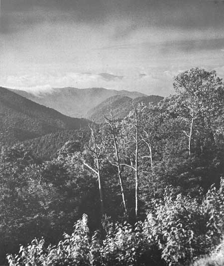 Blue Ridge Parkway