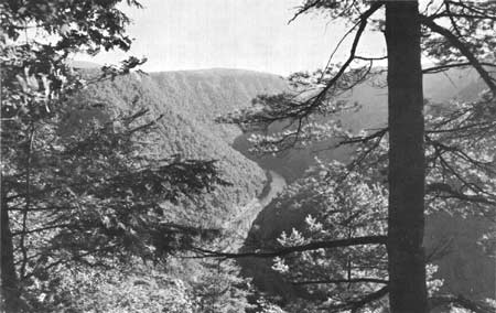 Pine Creek Gorge