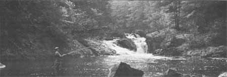stream