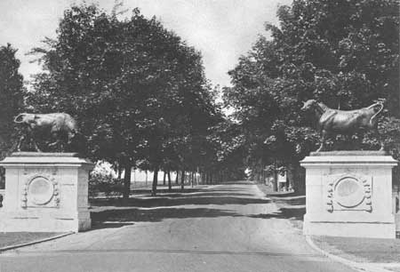 Colt Estate