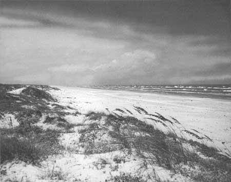 Padre Island National Seashore
