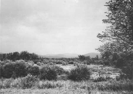 Essex County